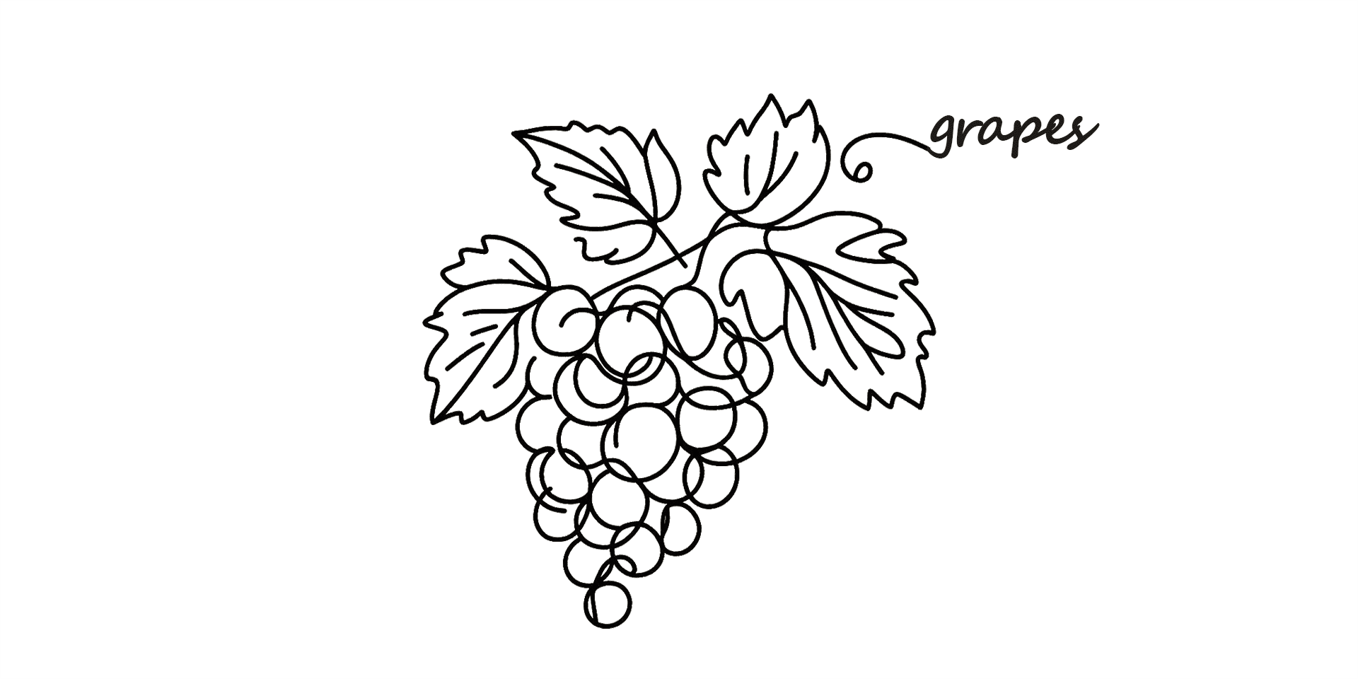 Grapes