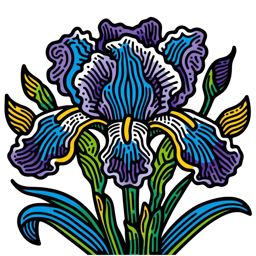 Iris Flower