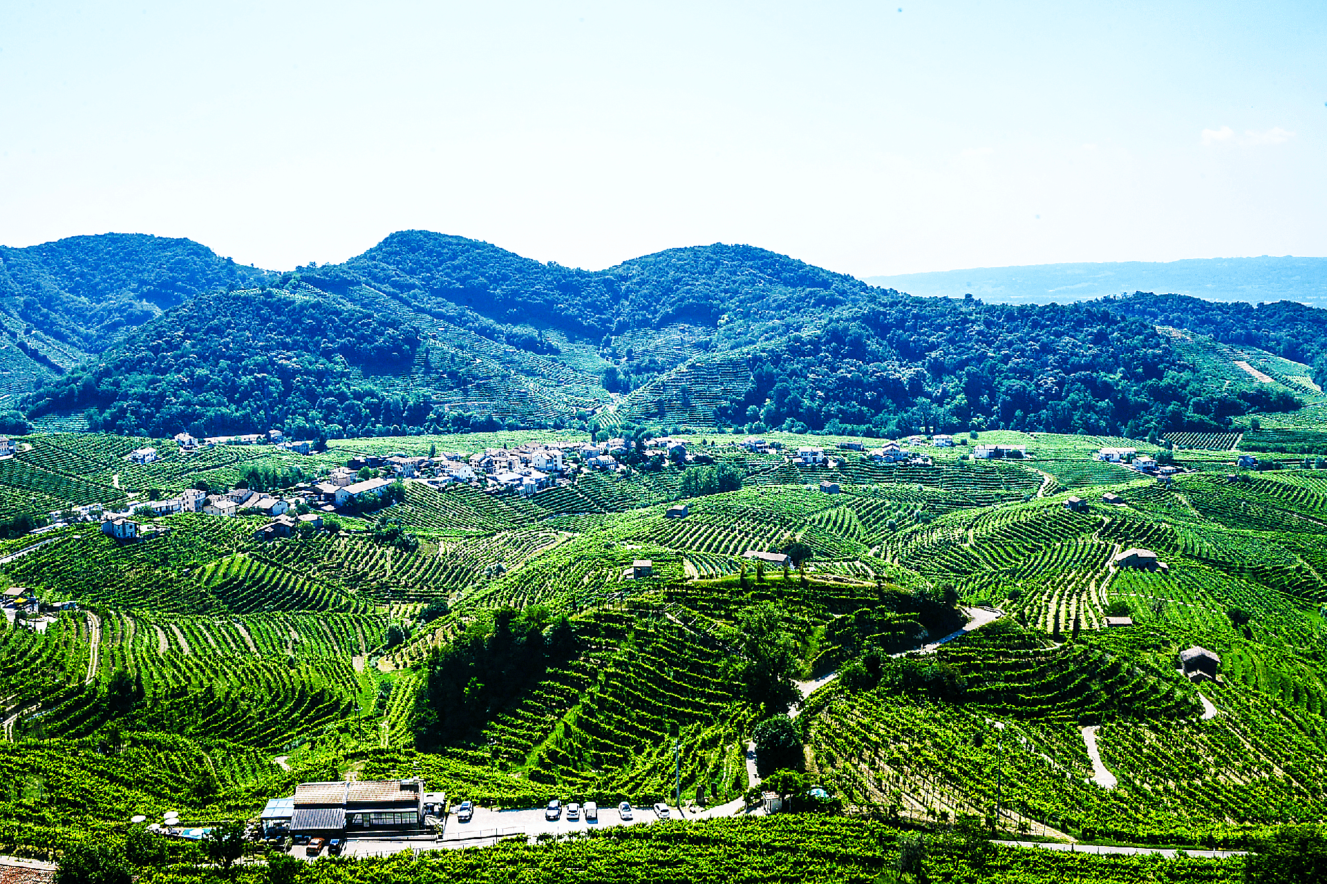 Cartizze Vineyards